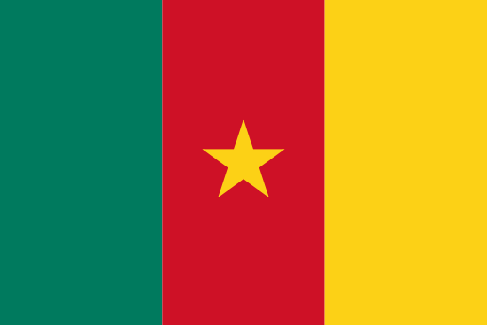 Cameroon Flagge
