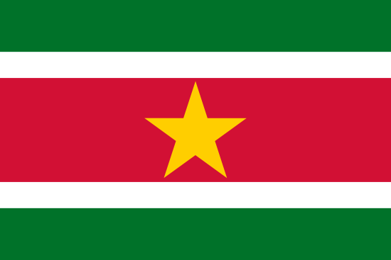 Suriname Flagge